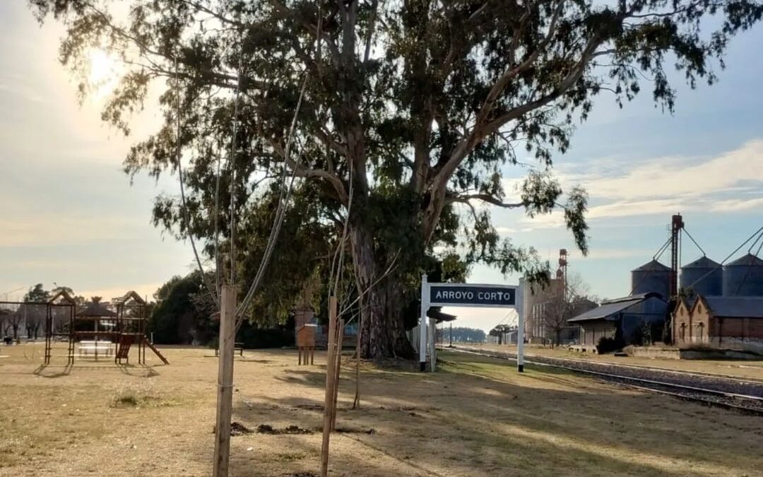 Forestación en la Plaza de la salud en Arroyo Corto